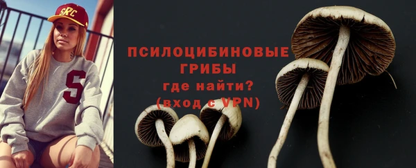 хмурый Весьегонск
