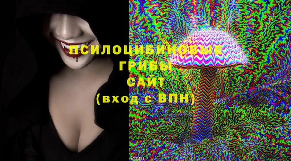 гидра Видное