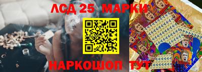 гидра Будённовск