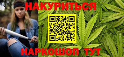 гидра Будённовск