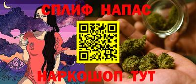 гидра Будённовск