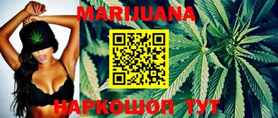 гидра Будённовск