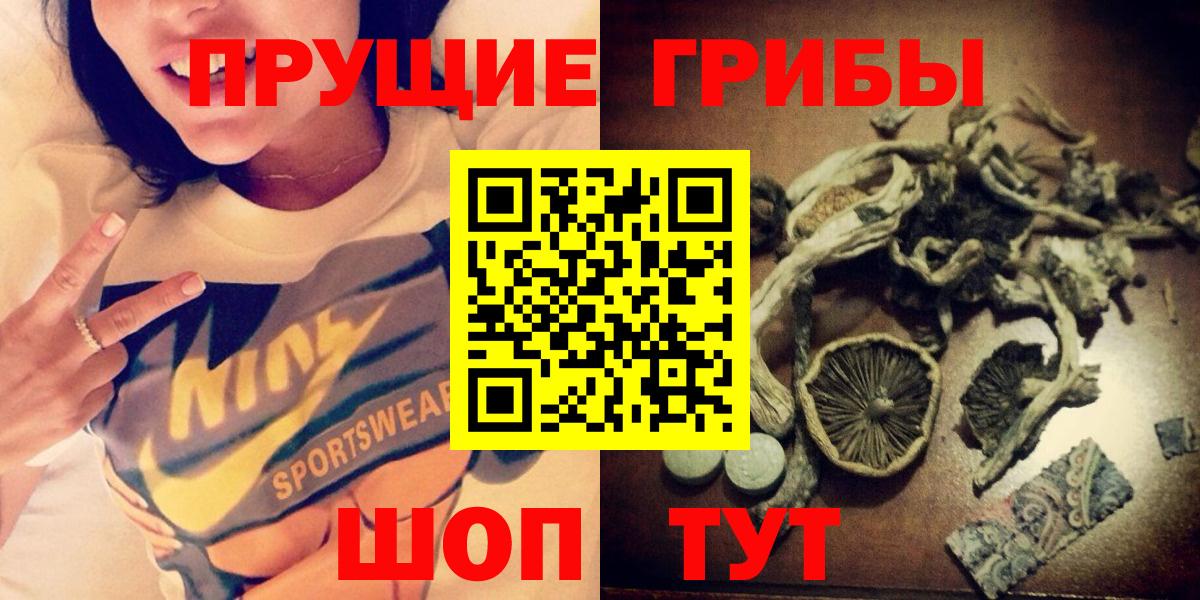 Сатка  Псилоцибиновые грибы Magic Shrooms  Вход с VPN  Псилоцибиновые грибы Psilocybine cubensis 