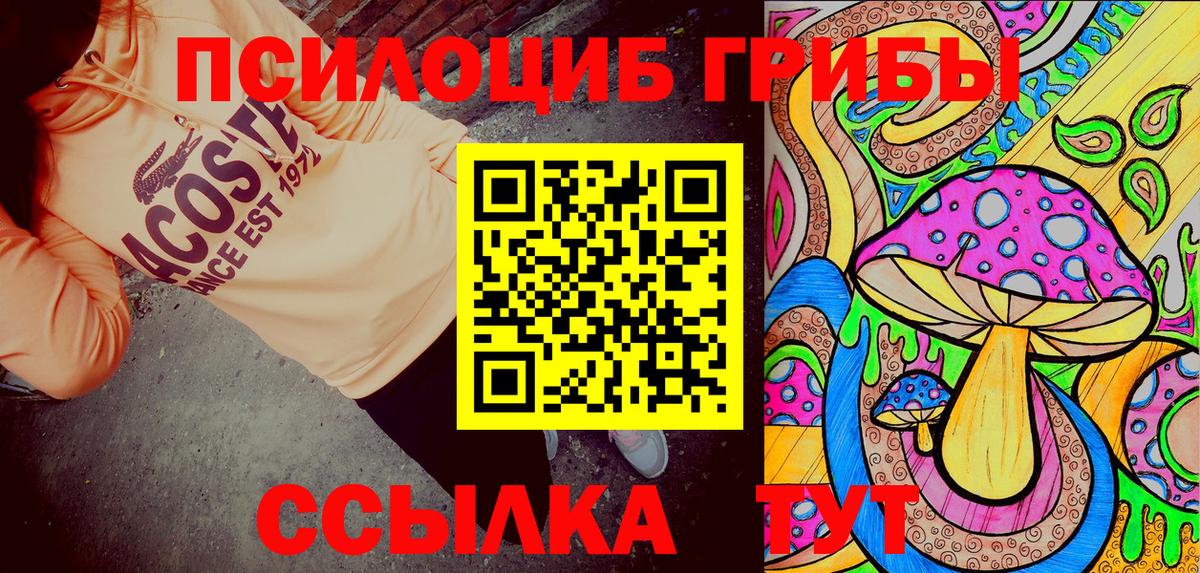 Псилоцибиновые грибы мицелий Сатка